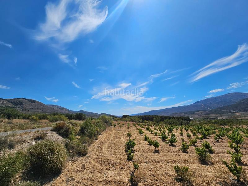 Foto a41a23c6-f40c-411f-b500-24b367d34655. Masía en carretera guarros finca en llano de laujar de andarax en Láujar de Andarax