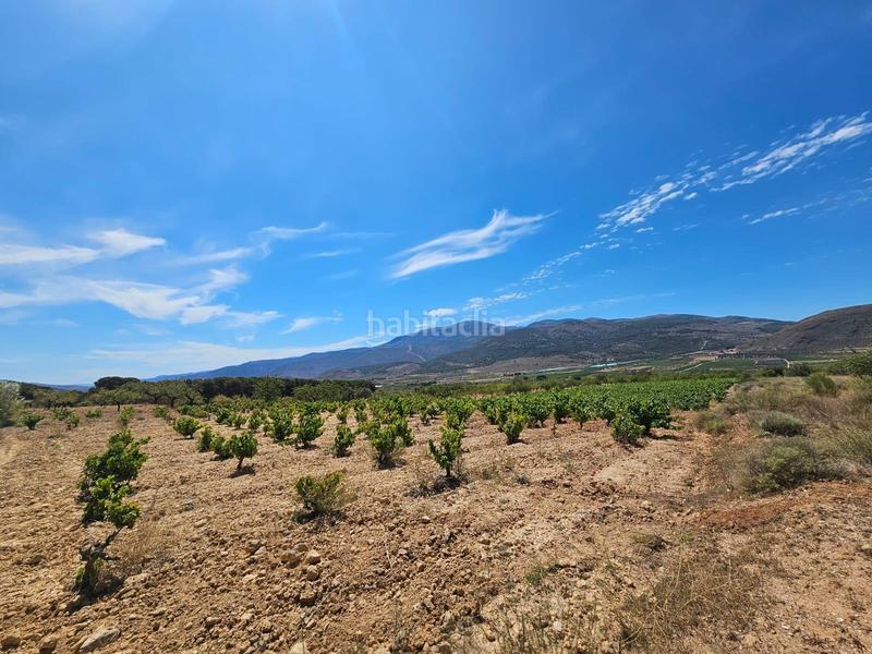 Foto b4f8b26d-e9f5-4984-900d-def53caad237. Masía en carretera guarros finca en llano de laujar de andarax en Láujar de Andarax