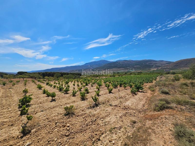 Foto bf3f70e2-5941-47f6-bb20-3b66bd80a8d7. Masía en carretera guarros finca en llano de laujar de andarax en Láujar de Andarax