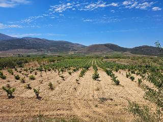 Masia a Carretera guarros. Finca en llano de laujar de andarax