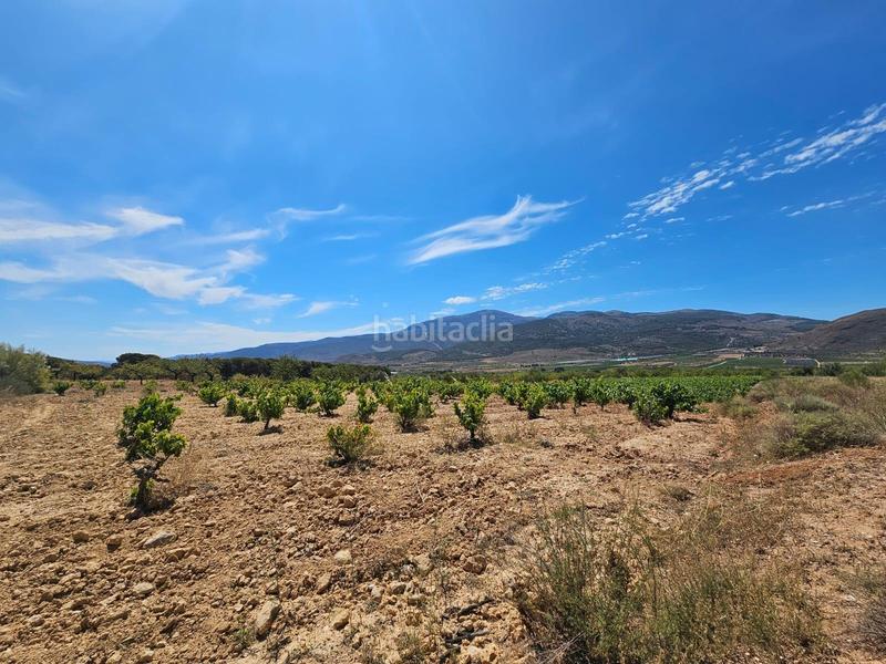 Foto e1b6bfe1-285b-4276-b970-613f81273839. Masía en carretera guarros finca en llano de laujar de andarax en Láujar de Andarax