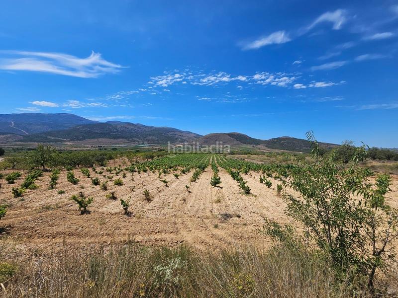 Foto f1037348-9c96-496e-9fb8-1efff921364c. Masía en carretera guarros finca en llano de laujar de andarax en Láujar de Andarax