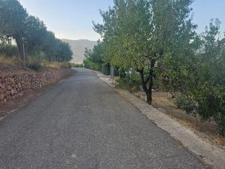 Mas à Polígono 9 parcela 3 alberzal. fondon (almería) 9. Finca rustica de olivos
