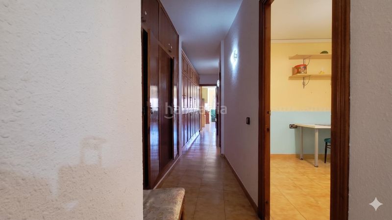 Foto 734d65b7-64ce-4237-aa4a-8724a741e172. Pis a Viator