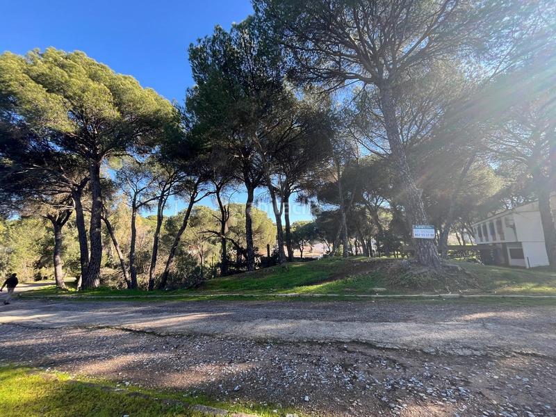 Foto 2c9595ba-8a74-497f-83d6-8850b612ae71. Wohngrundstück in Cerro Muriano Córdoba