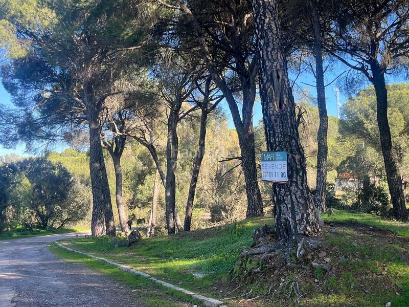 Foto 9afa7137-3222-4cb4-9c63-d2ab38c71083. Wohngrundstück in Cerro Muriano Córdoba