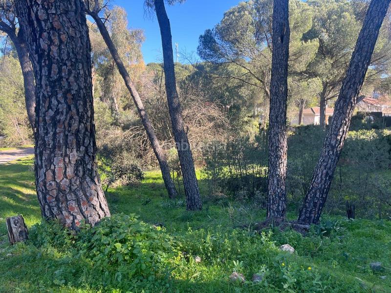 Foto f833d1db-8d24-44a6-96b1-ba9f215b3542. Wohngrundstück in Cerro Muriano Córdoba