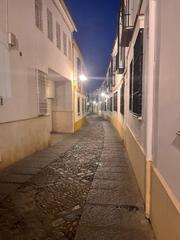 Location Parking voiture à Sta. Marina - San Andrés - San Pablo - San Lorenzo. Alquiler de garajes para coches y motos