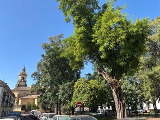 Maison à Centro. Oportunidad de nuevo proyecto en la magdalena