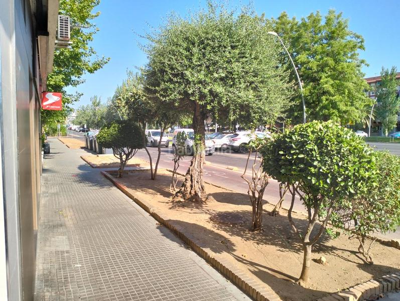 Foto 100abdf6-9487-44c3-9f90-eaaf6d2ff140. Piso espectacular piso doble en avda. carlos iii en Córdoba