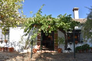 Masia en Montoro. Fantstica finca a 15 km de montoro!