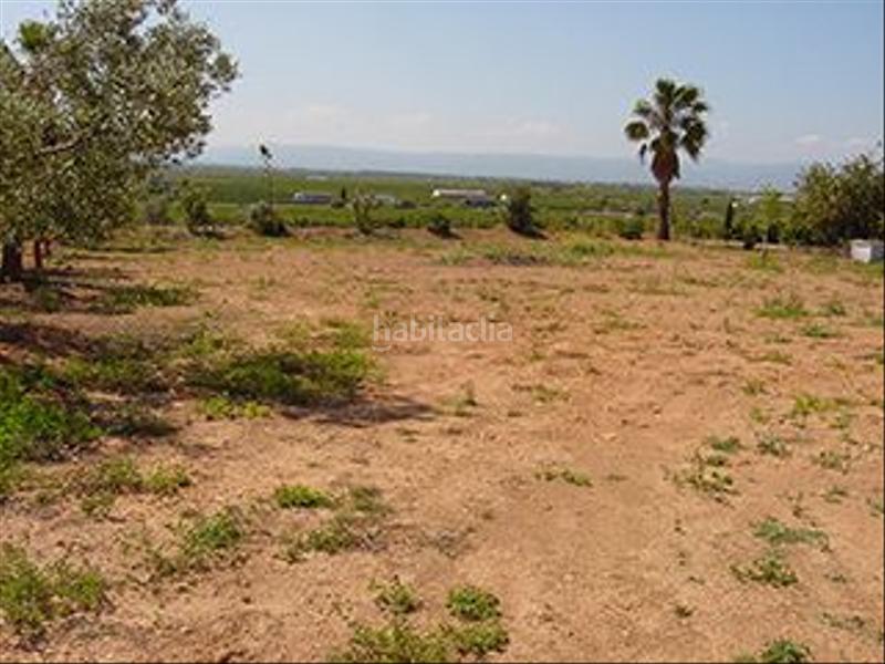 Foto 99b20649-239c-42f2-96cc-71945ffe40dc. Fondo rustico in Partidas de Interior - Zona Rústica Vinaròs