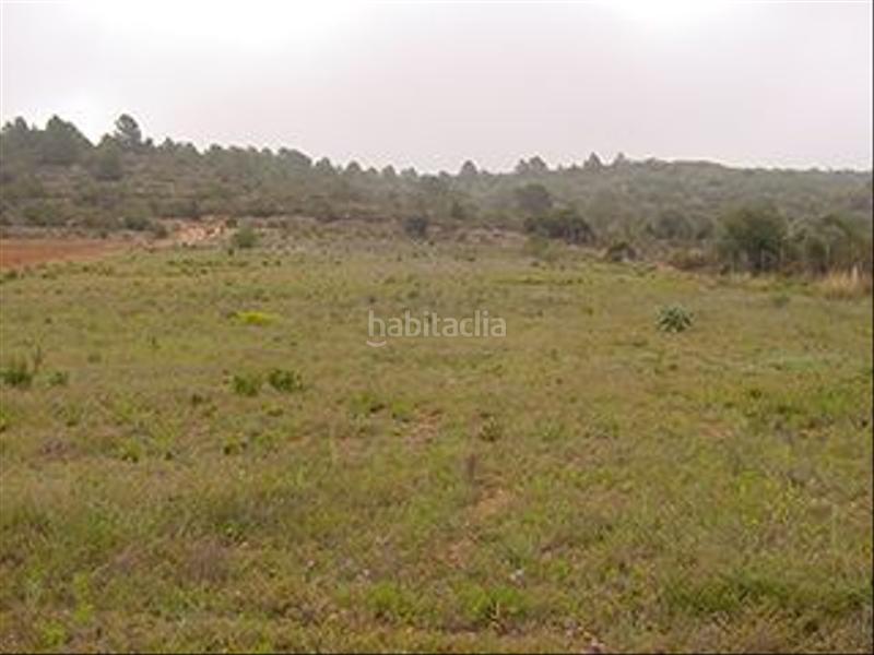 Foto e653c814-7187-4140-9953-e17d73d64188. Landgut in Partidas de Interior - Zona Rústica Vinaròs