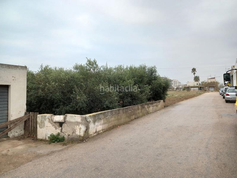 Foto e879643b-0bf1-4038-96d7-b2e788789b56. Fondo rustico in Casco Urbano Vinaròs