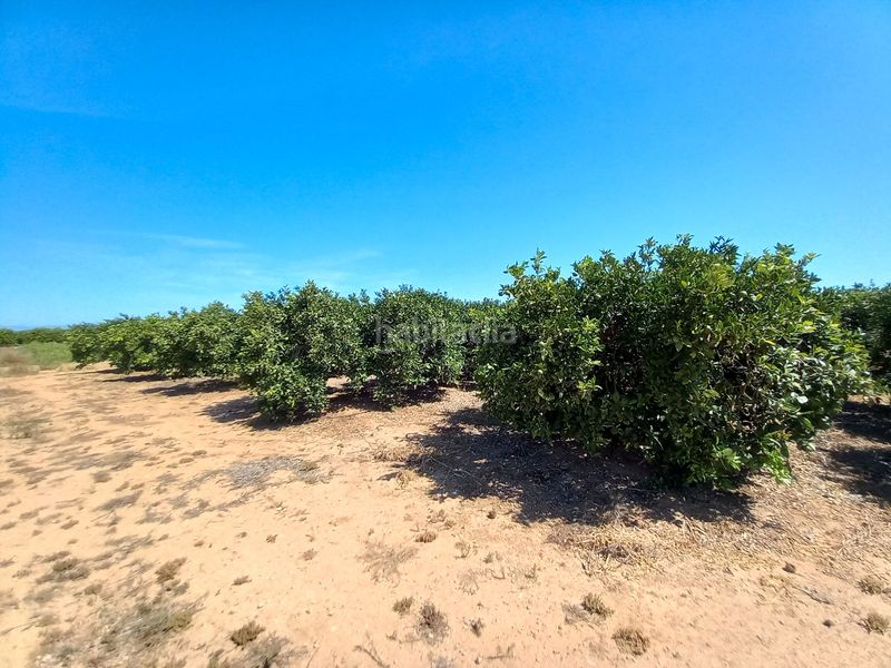 Foto ac3b90ce-0644-4961-ae7a-0216f1b7d9ef. Finca rústica en Casco Urbano Vinaròs