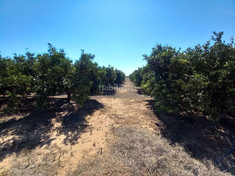 Foto b66455da-6368-4da9-9c90-9a4c1f69c1c9. Finca rústica en Casco Urbano Vinaròs