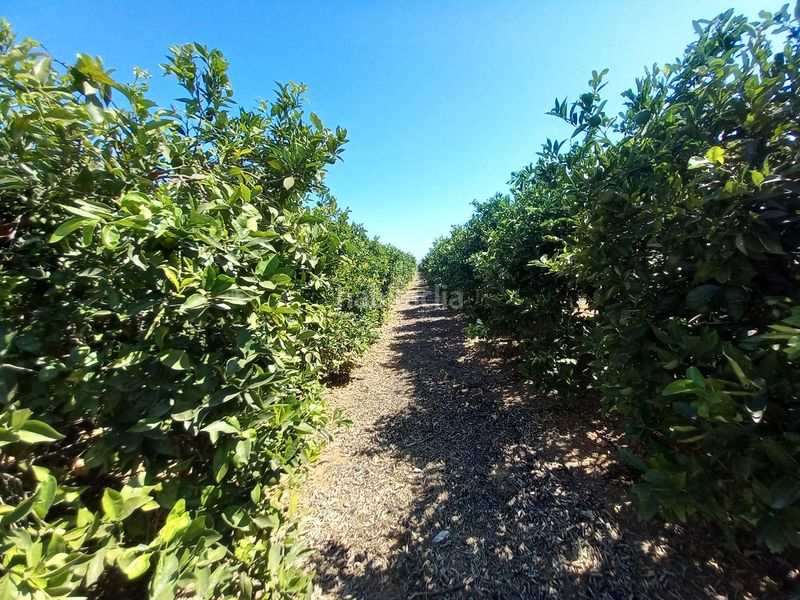 Foto f1b0e909-c941-4828-ab17-f017d748e458. Finca rústica en Casco Urbano Vinaròs