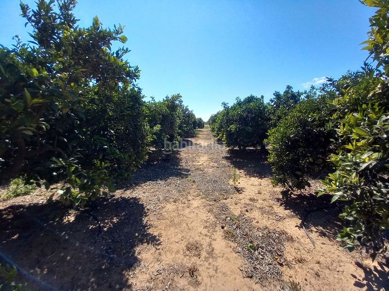 Foto f23424bb-fc02-45e6-a681-ab129181267d. Finca rústica en Casco Urbano Vinaròs