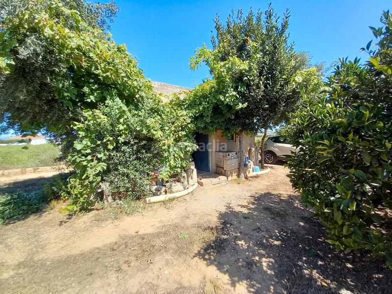Foto 7808c023-b123-4203-aca8-e9a1692263fe. Finca rústica en Partidas de Interior - Zona Rústica Vinaròs