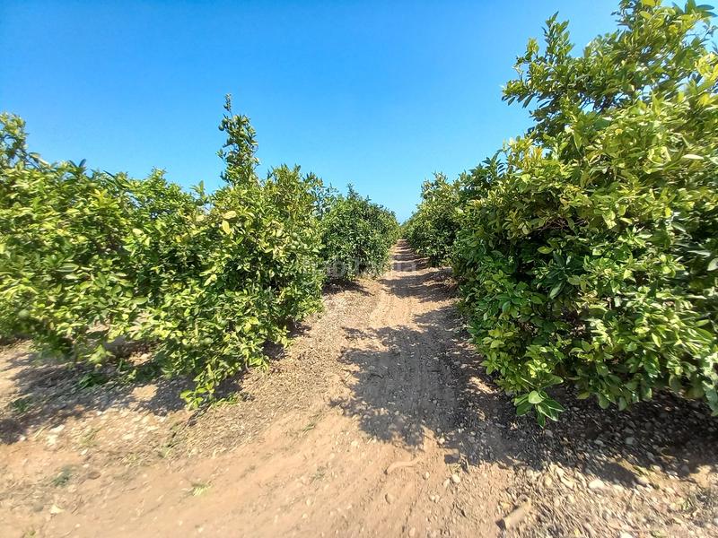 Foto 82a3444f-939e-4c4a-a31b-71ad1fc4c6fc. Chalet mit heizung parking pool in Partidas de Interior - Zona Rústica Vinaròs