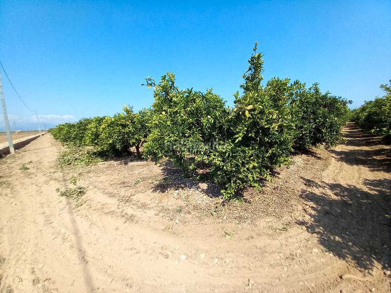 Foto ec3c10dd-3c45-4782-a7b2-30d1646ee8d2. Chalet mit heizung parking pool in Partidas de Interior - Zona Rústica Vinaròs