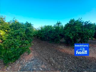 Finca rústica a Cálig. Suelo rústico uso agrícola