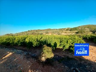 Finca rústica a Cálig. Finca rústica de regadío