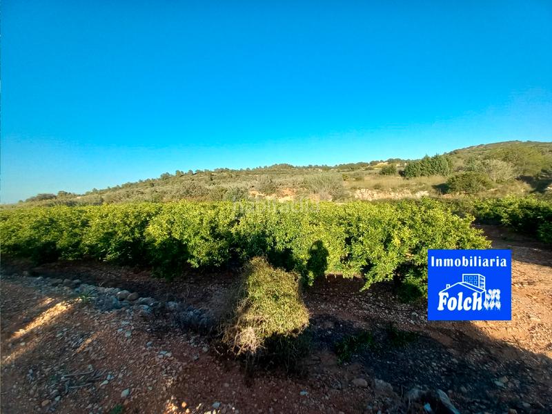 Foto 293183d0-26d8-4237-8fb1-758403e3a003. Finca rústica  de regadío en Cálig
