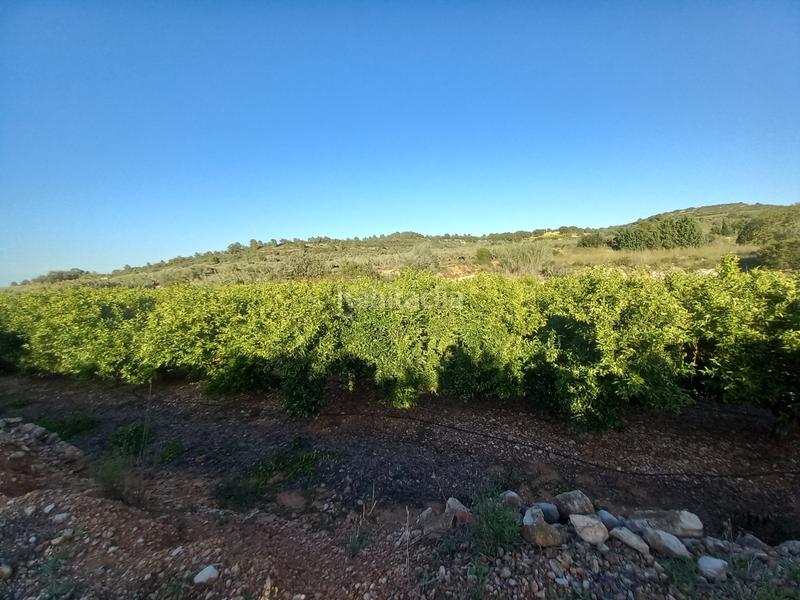Foto 34fd1d71-f333-4578-bf7a-c653094098a1. Finca rústica  de regadío en Cálig