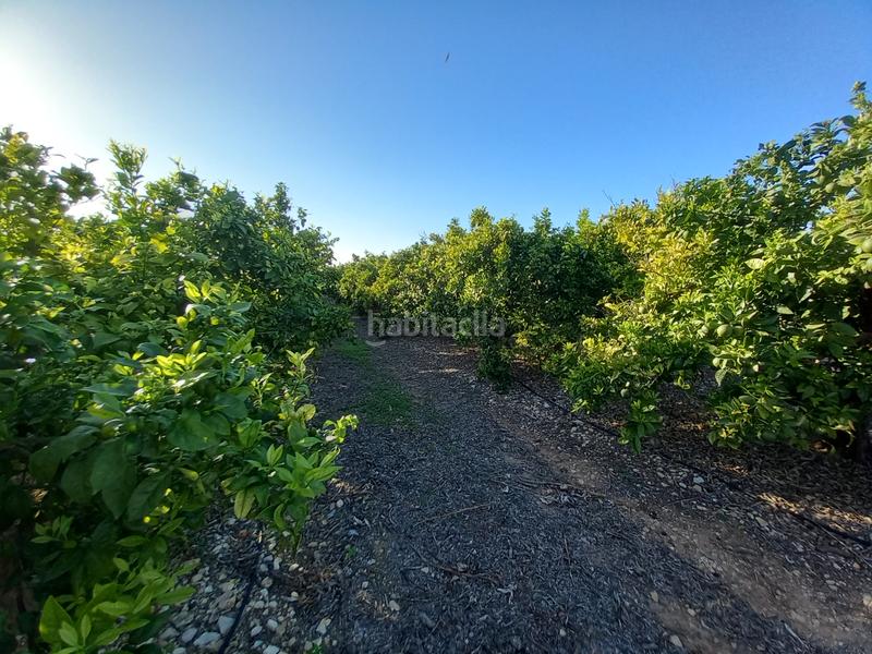 Foto 0adce30f-7561-4d1d-9d6d-02ed8c2ee760. Finca rústica  de regadío en Cálig