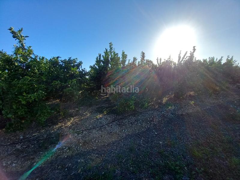 Foto 403cac7f-8552-48b8-a6a9-c5259eb0ce1e. Finca rústica  de regadío en Cálig