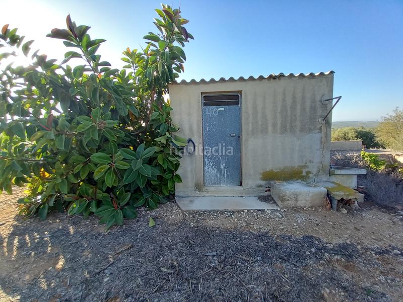 Foto 5603c7d8-7d49-41df-ab89-cc8d6943f498. Finca rústica  de regadío en Cálig