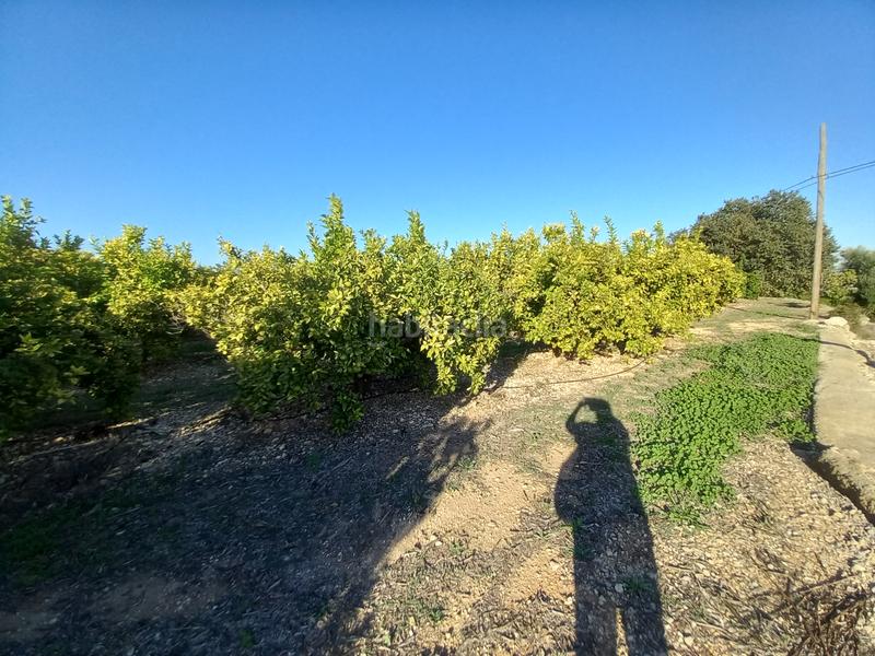 Foto ab5221a3-4572-42f4-8478-e362c60a3175. Finca rústica  de regadío en Cálig