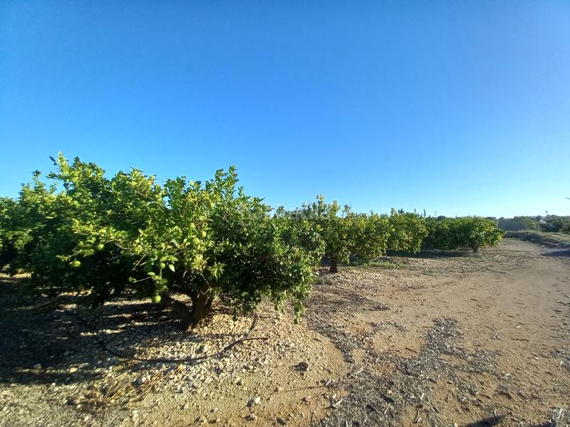 Foto be9bfd16-638e-41a0-827b-a086c3f995fc. Finca rústica  de regadío en Cálig