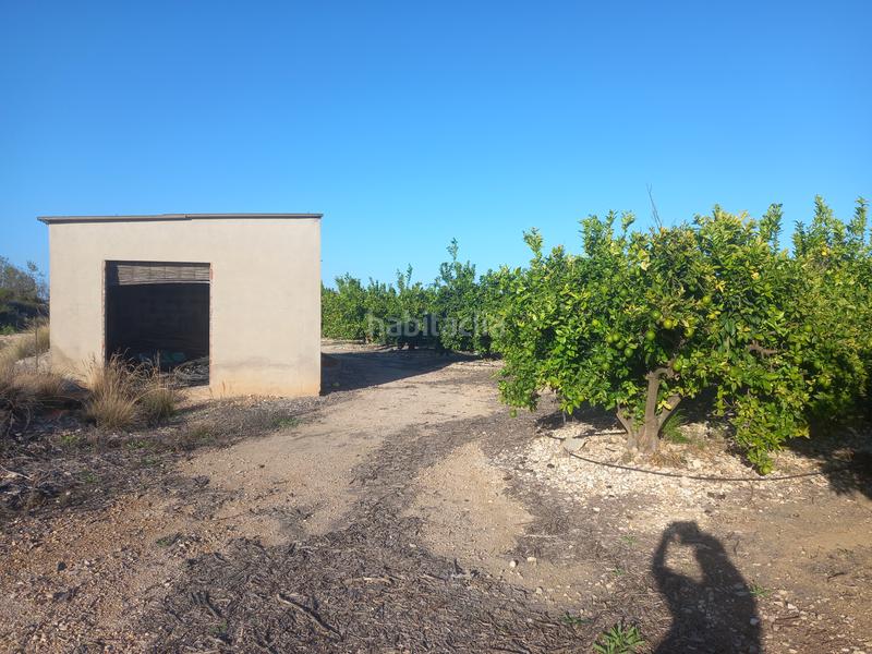 Foto d76237cd-f252-4e75-b03d-b3cc18ade59e. Finca rústica  de regadío en Cálig
