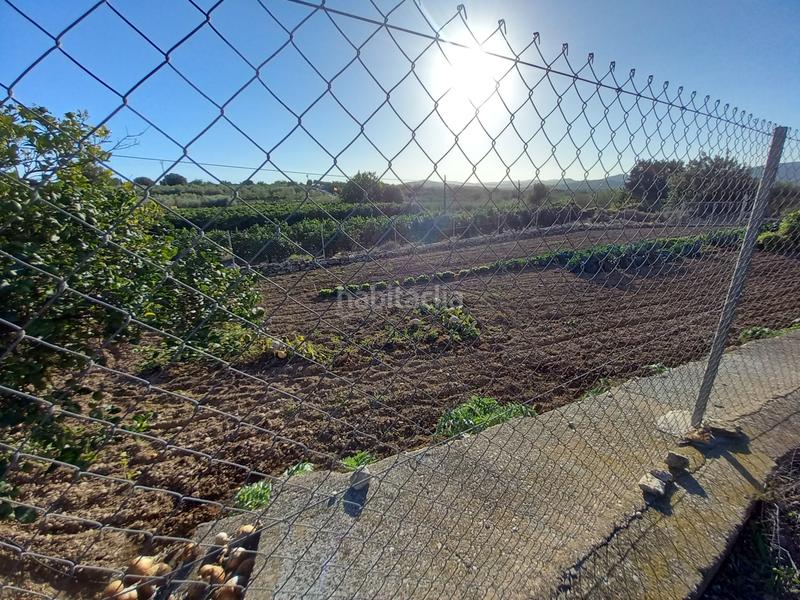 Foto dffe1d58-67d2-4c53-8a1c-8f6e9ce1fbe9. Finca rústica  de regadío en Cálig