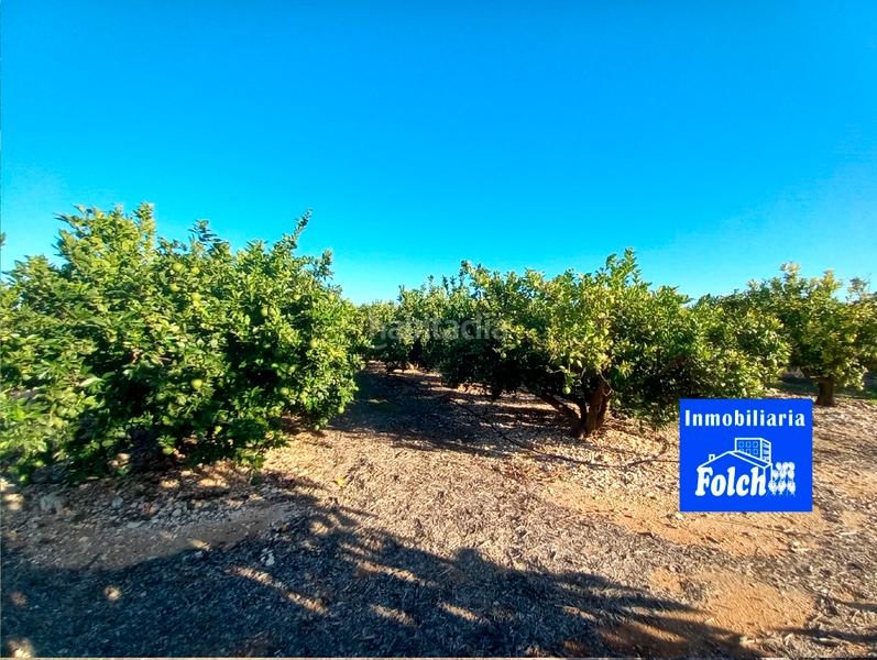 Foto ebb366b7-e4d8-4b65-980f-7c75e9c7c6e6. Finca rústica  de regadío en Cálig