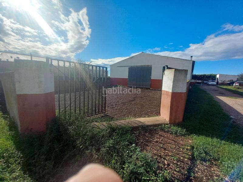 Foto 798bb605-9893-467c-adf4-83ea18d31efb. Casa  agrícola en Partidas de Interior - Zona Rústica Vinaròs