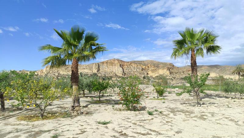 Foto 1455cb76-a4da-45aa-bfbf-de8d1cebc397. Terreny residencial a Cuevas del Almanzora pueblo Cuevas del Almanzora