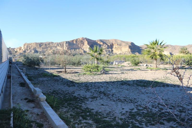 Foto 64f5f6d8-9a8a-416a-943d-7ff5a4fdad22. Terreny residencial a Cuevas del Almanzora pueblo Cuevas del Almanzora