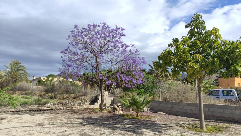 Foto b4a0d9c6-30fc-4894-abf3-09a1d59585f9. Terreny residencial a Cuevas del Almanzora pueblo Cuevas del Almanzora