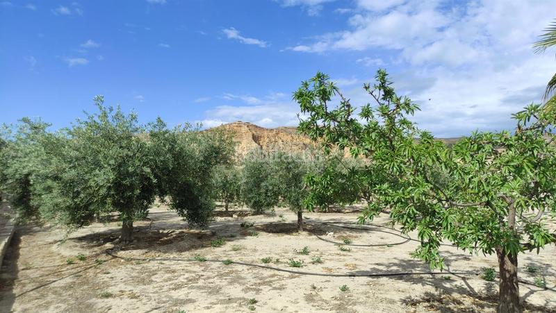 Foto 0495f6b6-57a6-4bf9-88ae-733a2385d314. Terrain résidentiel dans Cuevas del Almanzora pueblo Cuevas del Almanzora
