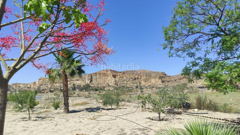 Foto cd426c3e-6f70-4d58-80aa-00129fb6e645. Terreno residenziale in Cuevas del Almanzora pueblo Cuevas del Almanzora