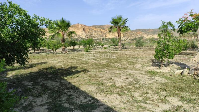 Foto d42c55e6-7ed5-4260-a13f-8c7bd004ddaa. Terreno residenziale in Cuevas del Almanzora pueblo Cuevas del Almanzora
