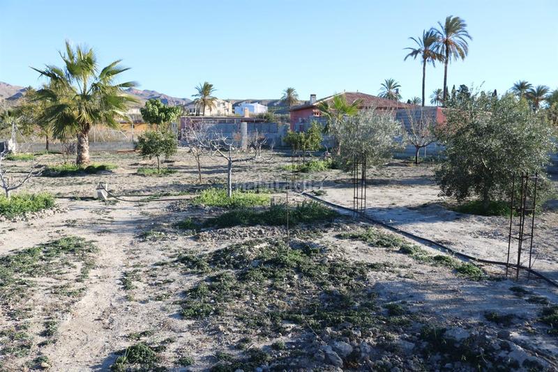 Foto efa67818-f2cb-4b6d-b494-57a86f42092d. Wohngrundstück in Cuevas del Almanzora pueblo Cuevas del Almanzora