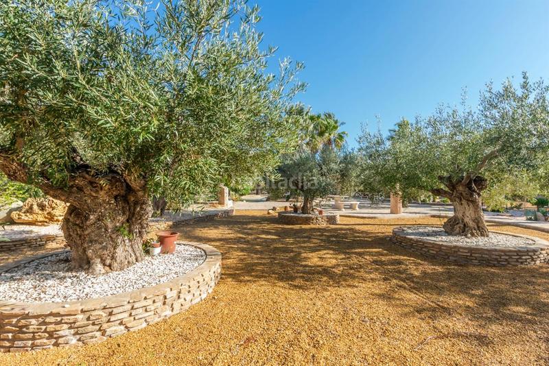 Foto 35840d21-04ea-4e7a-a453-ea2af57476b4. Chalet mit heizung parking pool in Turre