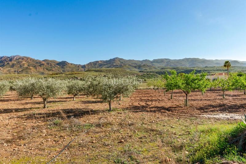 Foto 03b2e862-d4c0-40ab-b3a9-6f9e830f1972. Xalet amb calefacció aparcament piscina a Turre