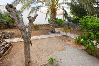 Residential Plot in Guzamara - Los Lobos