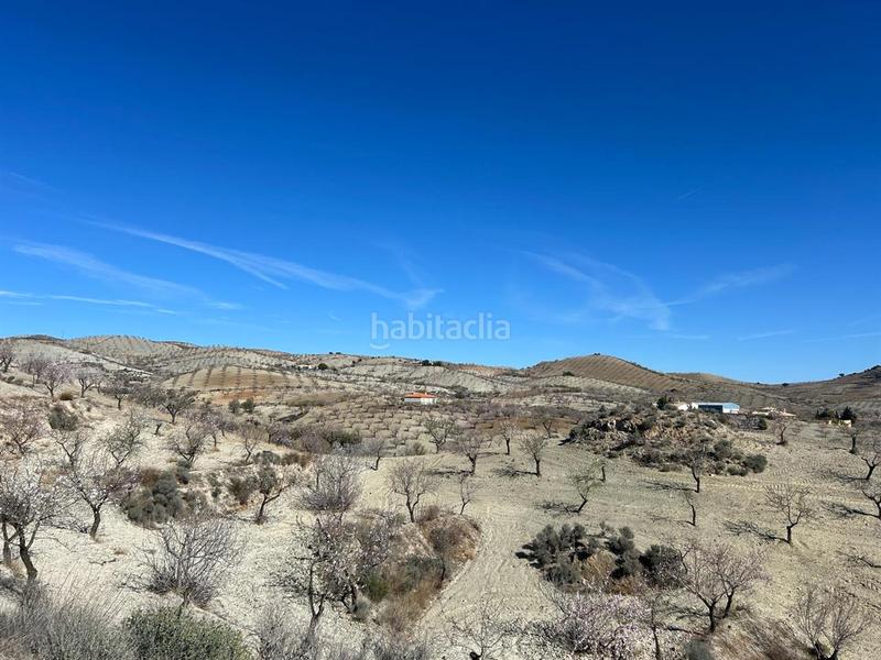 Foto 24e07392-1ef1-4c04-ae59-b4782700ff09. Chalet en Albox