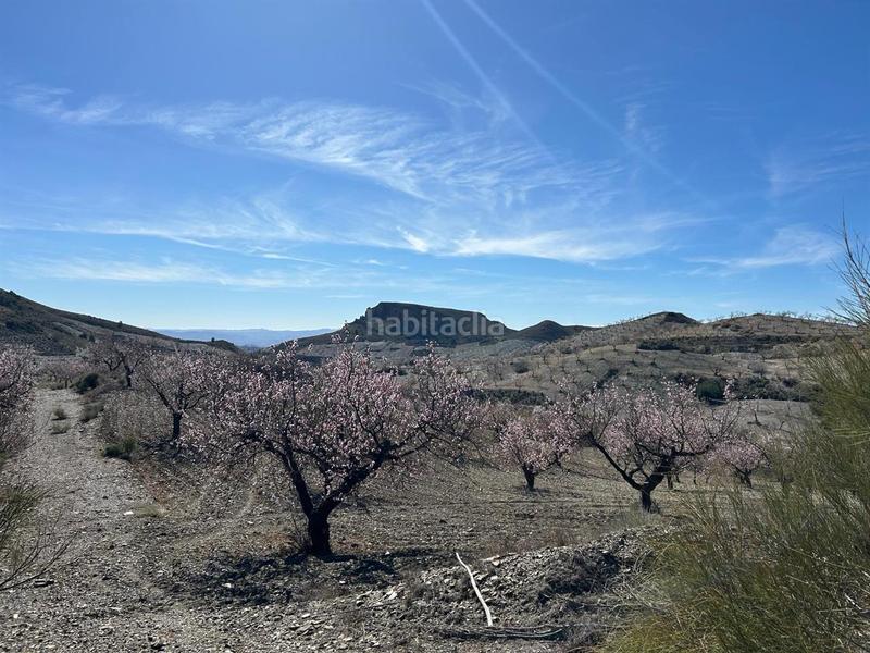 Foto f1266d5e-0fd6-4bec-b8a3-f2a87a6a2e94. Chalet en Albox